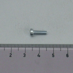 Vite Testa Cilindrica M3 x 10 acciaio nichelato (20)